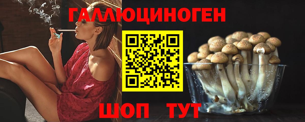 Галлюциногенные грибы MAGIC MUSHROOMS Курганинск