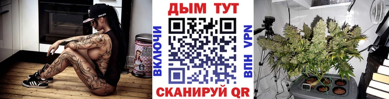 Каннабис гибрид  Курганинск 