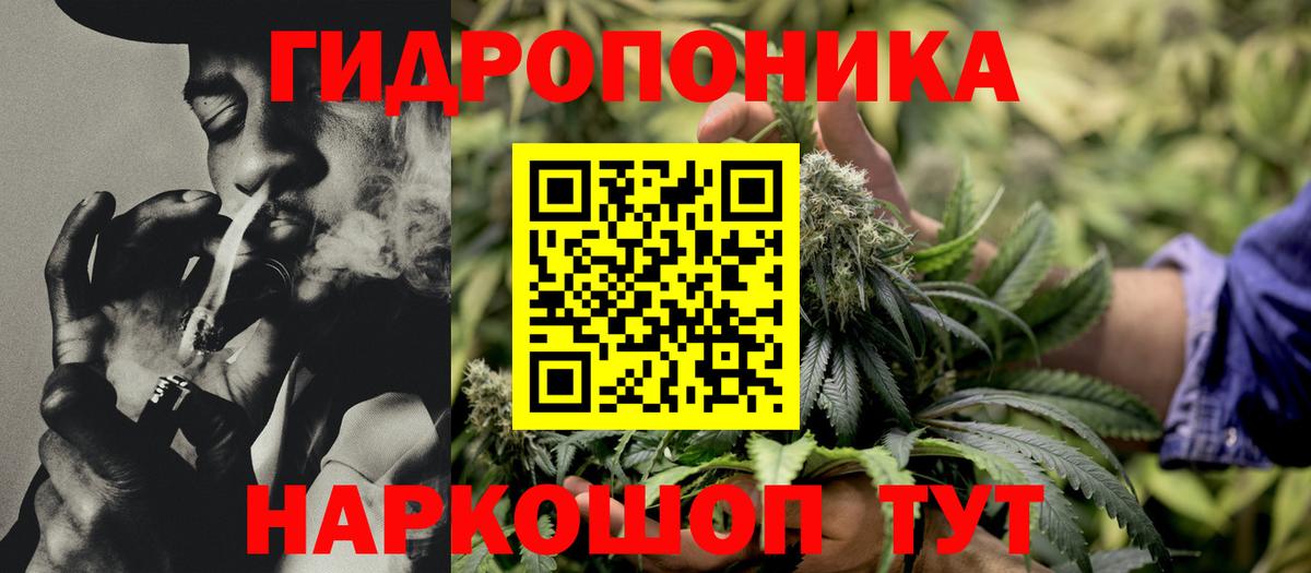 Конопля тримм  Бошки марихуана конопля  Вход с VPN  Курганинск 